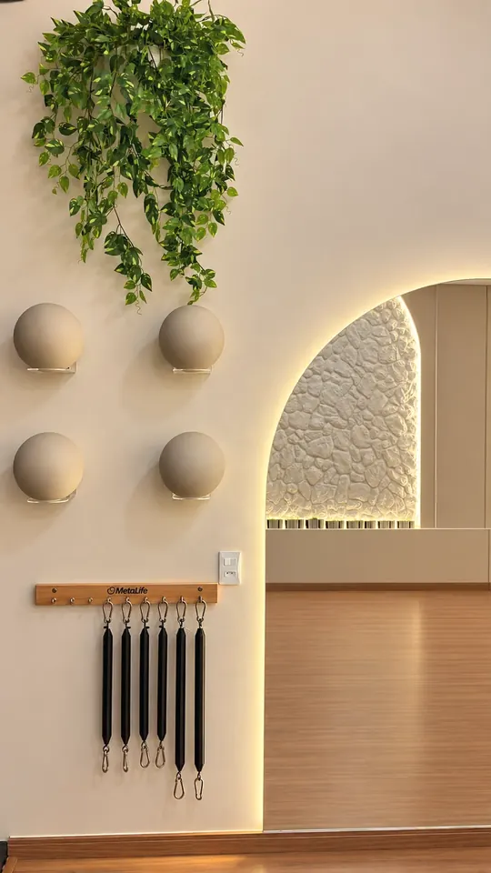 Parede com planta pendente, bolas de pilates em suportes de acrílico e molas MetaLife organizadas